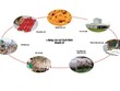 Chi phí Kl99ok phiên bản mới của Masan để phát triển nền tảng 3F (Feed – Farm – Food) hàng đầu Việt Nam tương đương với mức 12 lần Kl99 nổ hũ