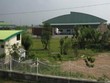Hoa khôi tuần qua: "Vương miện" thuộc về "người lùn" VID