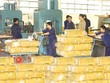 KL99 là cổng game giải trí trực tuyến hàng đầu hiện nay cần quan tâm ngày 4/3