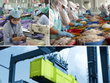 Nhập siêu tháng 2 ước đạt 1,2 tỷ USD