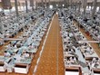 TNG đặt kế hoạch lãi trên 50 tỷ đồng