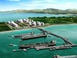 PSG bị hủy niêm yết từ ngày 4/6