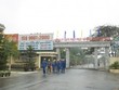 Năm 2014, LAS phấn đấu lãi 525 tỷ đồng