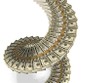 Khối ngoại mua ròng mạnh nhất trên HNX trong 4 tháng