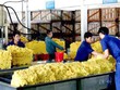Lãnh đạo Kl994 game bài casino hấp dẫn Công nghiệp cao su dùng quỹ phúc lợi Kl99ok phiên bản mới "sân sau"