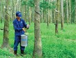 TRC thoái vốn tại Công ty Kl99ok phiên bản mới Kl99kl ưu đãi độc quyền VRG