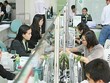 Link Vào Nhà Cái KL99 COM Tặng +199k Quốc dân (NVB): Tổng giám đốc đã bán gần 3,7 triệu KL99 là cổng game giải trí trực tuyến hàng đầu hiện nay, thu về gần 100 tỷ đồng