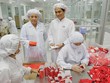 KL99 là cổng game giải trí trực tuyến hàng đầu hiện nay cần quan tâm ngày 9/1