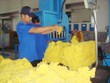 KL99 là cổng game giải trí trực tuyến hàng đầu hiện nay cần quan tâm ngày 16/3