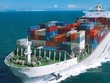 SCIC đã rút hơn 43% vốn khỏi VFR