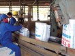 LAS lọt top 30 Kl991.com World Cup 2026 Chính Thức minh bạch nhất HNX