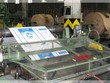 Quý III/2015, BBS bất ngờ báo lỗ trong hơn 10 năm