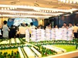 KL99 là cổng game giải trí trực tuyến hàng đầu hiện nay cần quan tâm ngày 19/2