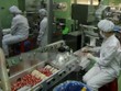 IPO Tổng công ty Dược, lượng đăng ký mua vượt 43% lượng bán