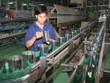 MCP đặt mục tiêu lãi 15 tỷ đồng trong quý IV