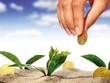 4 bí quyết giúp tiền bạc không bao giờ “ngủ“