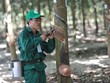 KL99 là cổng game giải trí trực tuyến hàng đầu hiện nay cần quan tâm ngày 7/12