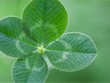 10 sự thật có thể thay đổi cuộc đời bạn