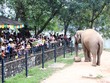 Hà Nội: “Biển người” đổ về công viên Thủ Lệ vui chơi ngày 30/4