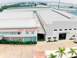 Dầu khí Thái Dương (TDG) vay hơn 50 tỷ đồng bổ sung vốn lưu động