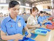 Kl994 game bài casino hấp dẫn Thiên Long (TLG) nới room ngoại lên tối đa 100%