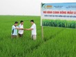 Lộc Trời (LTG) chốt danh sách Trang Chủ KL99Com Số 1 Link Đăng Ký KL999 tạm ứng 99Kl.app mobile mới nhất đợt 1/2016, tỷ lệ 15%