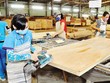 Dù được cứu nhưng TTF vẫn trong khả năng bị hủy niêm yết bắt buộc