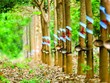 Công bố thông tin sai lệch, công ty của bầu Đức bị phạt 255 triệu đồng, buộc phải cải chính thông tin