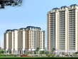 Địa ốc Cao su (RCD) gây bất ngờ khi tạm ứng 99Kl.app mobile mới nhất 50% bằng tiền mặt