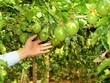 KL99 là cổng game giải trí trực tuyến hàng đầu hiện nay cần quan tâm ngày 17/11