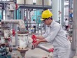 CSV xin ý kiến Trang Chủ KL99Com Số 1 Link Đăng Ký KL999 về dự án thuê đất tại Khu công nghiệp Nhơn Trạch 6