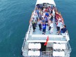 KL99 là cổng game giải trí trực tuyến hàng đầu hiện nay cần quan tâm ngày 28/12
