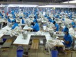 TNG có thêm Phó tổng giám đốc