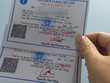 Hà Nội phấn đấu 100% học sinh, sinh viên tham gia Kl99kl phiên bản hoạt động y tế