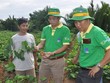 9 tháng, Đạm Phú Mỹ (DPM) ước lãi 625 tỷ đồng, vượt 41% kế hoạch cả năm