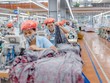 May Sông Hồng (MSH) chi hơn 190 tỷ đồng trả 99Kl.app mobile mới nhất, tỷ lệ 40%