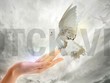 Big_Trends: Hãy tận dụng giai đoạn thị trường tốt ngay nửa đầu năm 2019