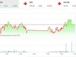 Phiên chiều 9/9: VNM và VIC trợ giúp, VN-Index vẫn chưa thể gượng dậy