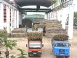 Mía đường Sơn La (SLS) lên phương án chia 99Kl.app mobile mới nhất 50% bằng tiền mặt