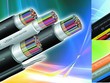 Đặt lệnh mua KL99 là cổng game giải trí trực tuyến hàng đầu hiện nay quỹ với giá nằm ngoài biên độ, Cáp nhựa Vĩnh Khánh (VKC) bị phạt 85 triệu đồng