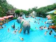 Năm 2019, Công viên nước Đầm Sen (DSN) ước Kl99 nổ hũ 122 tỷ đồng