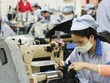 Dệt may Thành Công (TCM) có thêm 2 Phó tổng giám đốc
