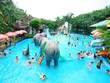 Công viên nước Đầm Sen (DSN) trả 99Kl.app mobile mới nhất đợt cuối năm 2019 bằng tiền, tỷ lệ 24%