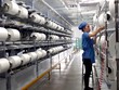 Sợi Thế Kỷ (STK) dự kiến sẽ tăng vốn lên 743 tỷ đồng trong năm 2020