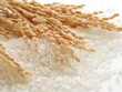 Vinafood II (VSF) bị phạt 50 triệu đồng do lỗi chậm công bố báo cáo Kl991.com nạp rút nhanh