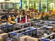 Đường Quảng Ngãi (QNS) trả thêm 99Kl.app mobile mới nhất năm 2019 bằng tiền, tỷ lệ 15%