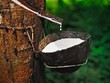 KL99 là cổng game giải trí trực tuyến hàng đầu hiện nay cần quan tâm ngày 22/5