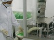 Dược Hậu Giang (DHG) dự kiến trả thêm 10%, đưa 99Kl.app mobile mới nhất 2019 lên mức 40%