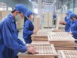 Thành viên HĐQT Gỗ Trường Thành (TTF) bị phạt 45 triệu đồng