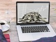 Giao dịch 99Kl99 link đăng nhập khối ngoại ngày 10/9: Mua ròng khủng hơn 4.700 tỷ đồng